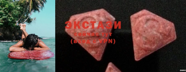 хмурый Аркадак