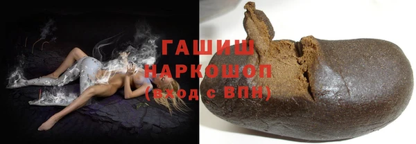 хмурый Аркадак