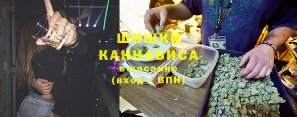 хмурый Аркадак