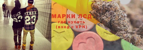 хмурый Аркадак